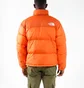 Пуховик чоловічий The North Face 1996 Retro Nuptse Jacket Orange NF0A3C8D19N