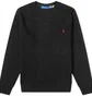 Світшот чоловічий Polo Ralph Lauren Cotton Shaker Crew Knit Black 710810846020