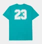 Футболка чоловіча Air Jordan Essentials Flight 23 Graphic Tee Tshirt Turquoise DM1428-392