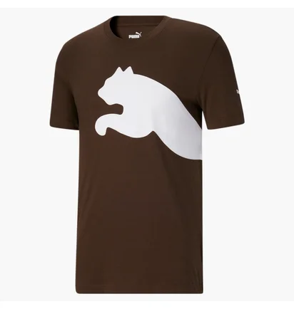 Футболка мужская Puma Oversized Logo Tee Brown 588544-63