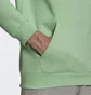 Худи мужское Adidas Essential Hoody Green H34648