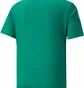 Олимпийка мужская Puma Shirt Teamliga Sideline Polo Green 657257-05