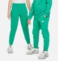 Штаны детские Nike Sportswear Club Fleece Green FD3008-324