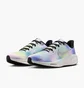 Кросівки жіночі Nike Air Zoom Pegasus 41 Multi HJ7816-400