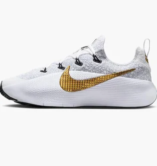 Кроссовки мужские Nike Lebron Tr 1 Grey FJ6151-006