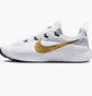 Кросівки чоловічі Nike Lebron Tr 1 Grey FJ6151-006