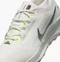 Кросівки чоловічі Nike Pegasus Trail 5 Gtx White FQ0908-102