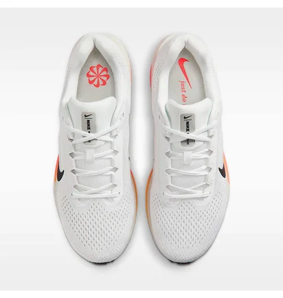 Кросівки чоловічі Nike Air Winflo White FJ9509-111