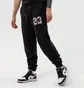 Штаны мужские Air Jordan M J Sprt Dna Flc Pant Black DJ0190-010