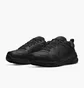Кросівки чоловічі Nike Defy All Day Black DM7564-002