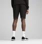Шорти чоловічі Puma Ess 2 Color No. 1 Logo Shorts 10 Terry Black 684715-51