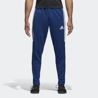 Штаны мужские Adidas Tiro17 Trg Pnt Bs3674 Blue