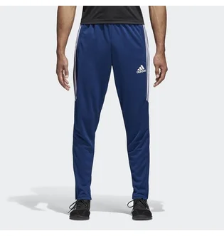 Штаны мужские Adidas Tiro17 Trg Pnt Bs3674 Blue