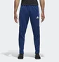 Штаны мужские Adidas Tiro17 Trg Pnt Bs3674 Blue