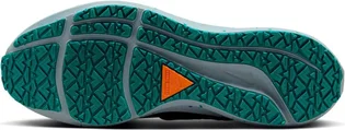 Кросівки чоловічі Nike Pegasus 39 Shield Weatherised Road Running Shoes Turquoise DO7625-300
