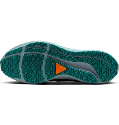 Кросівки чоловічі Nike Pegasus 39 Shield Weatherised Road Running Shoes Turquoise DO7625-300