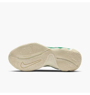 Кроссовки унисекс Nike Giannis Immortality 3 Green DZ7533-300