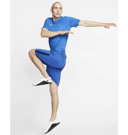 Футболка мужская Nike Jersey Park Vii Blue Bv6708-463