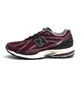 Кросівки унісекс New Balance 1906Rcc Bordo M1906RCC