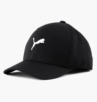 Кепка унісекс Puma Hudson Flexfit Black 859757-01
