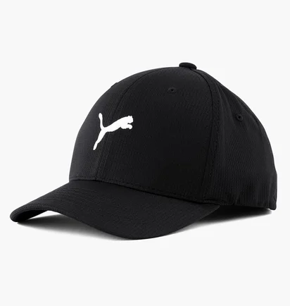 Кепка унісекс Puma Hudson Flexfit Black 859757-01