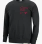 Лонгслив мужской Nike Dri-Fit Nba Chicago Bulls Standard Issue Black FD8649-010