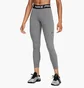 Леггинсы женские Nike Np 365 Mr Grey DV9026-084