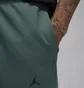 Штаны мужские Air Jordan Sport Hoop Fleece Dri-Fit Pants Green FV8604-366