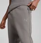 Штаны мужские Puma Evostripe Pants Grey 684614-79