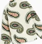 Кофта мужская OBEY Clothing Paisley Fleece Jacket Beige 121800550-UBL
