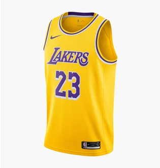 Майка унисекс Nike Lebron James Lakers Icon Edition Nba Swingman Jersey Yellow AA7099-741