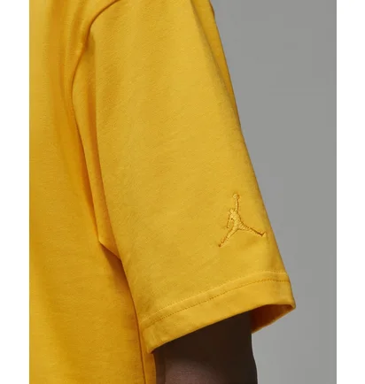 Футболка мужская Air Jordan Wordmark Tee Yellow FJ1969-739