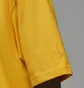 Футболка мужская Air Jordan Wordmark Tee Yellow FJ1969-739