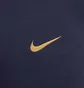 Штаны мужские Nike Paris Saint-Germain Tech Fleece Blue DV4836-498