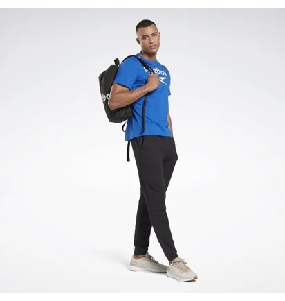 Штаны мужские Reebok Training Essentials Linear Logo Joggers Fp9130 Black