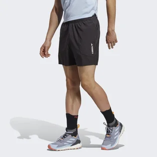 Шорты мужские Adidas Terrex Multi Shorts Black Hm4013