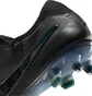Бутсы унисекс Nike Legend 10 Elite Sg-Pro Ac Black DV4329-002