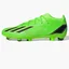 Бутси унісекс Adidas Buty Piłkarskie X Speedportal.2 Fg Green GW8450