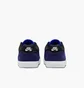 Кросівки чоловічі Nike Sb Malor Blue FV6064-400