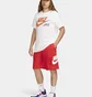 Шорти чоловічі Nike Club Woven Shorts Red FN3303-657