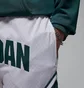 Шорты мужские Air Jordan Sport Dri-Fit Diamond Shorts White/Green FV8612-100