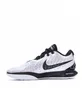 Кросівки унісекс Nike Lebron Xxi White/Pink HF5841-100