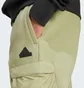 Штаны мужские Adidas City Escape Fleece Olive IV7419