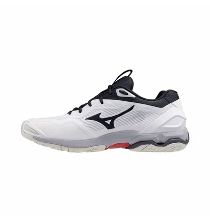 Кроссовки мужские Mizuno Wave Stealth 6 White X1GA243021