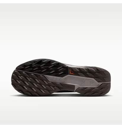 Кроссовки женские Nike Pegasus Trail 5 Brown FQ0912-012
