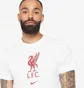 Футболка чоловіча Nike Liverpool 22/23 Crest Ss Tee White DM3482-100