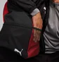 Рюкзак унісекс Puma Teamgoal Backpack Core 20L Red/Black 090238-03