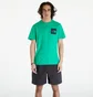 Футболка чоловіча The North Face S/S Fine Tee Green NF0A87NDPO8