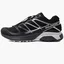 Кроссовки мужские Salomon Xt-Pathway Black L47134800