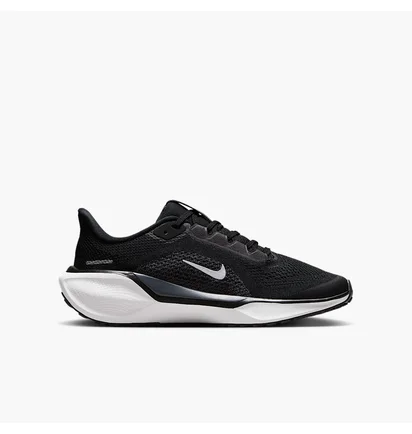 Кросівки дитячі Nike Pegasus 41 Big Road Running Black FN5041-001